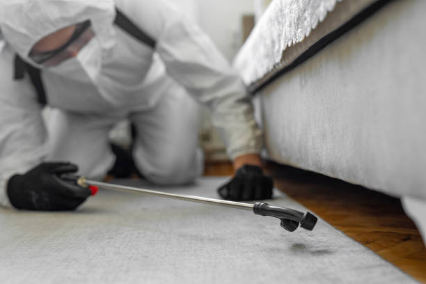 Professional Bed Bug Control technician working in East Aurora, NY