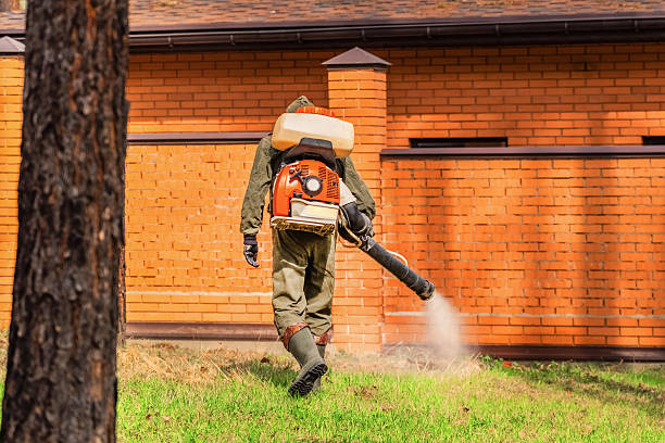 Trusted Cockroach Control service in East Aurora, NY - Nex Pest Control